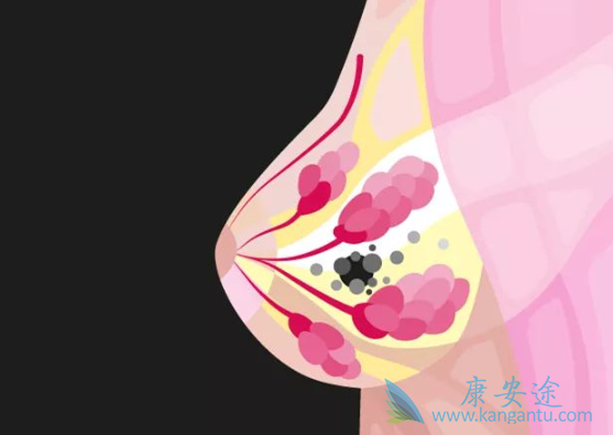 �ڷ�������