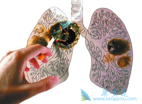 ��������;��Сϸ���ΰ�