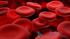 ���ȷ��������Ѫ����������ô���ƣ�