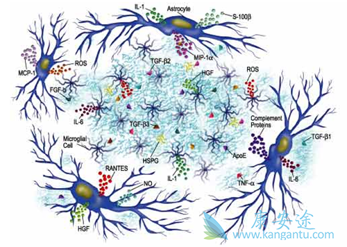 ϸ�����ӷ籩��ʲô��˼��
