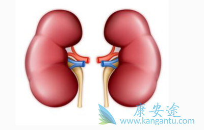 ����ת��;��������