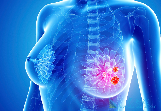 �ڷ�������