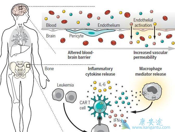 ϸ�����ӷ籩