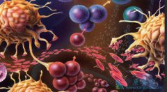 ʲô��ϸ�����ӷ籩����ԭ���������ϸ�����ӷ籩������֢