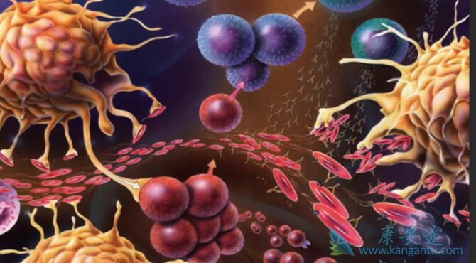 ϸ�����ӷ籩