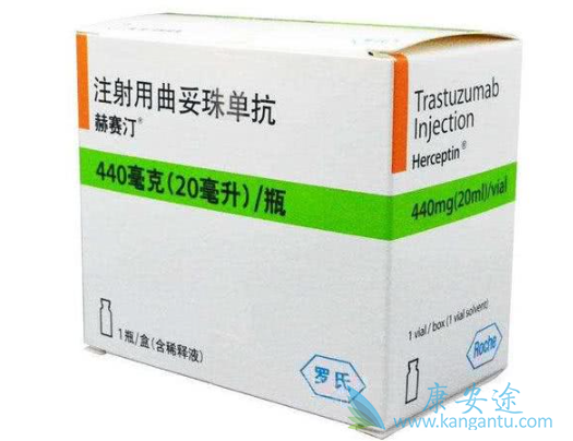 ����͡����Ч