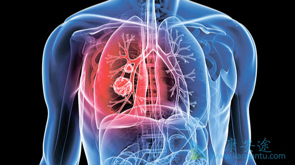 易瑞沙;特罗凯 易瑞沙;特罗凯