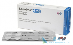 �ַ�������ٴ�ʵ���������ڸΰ����߿�����������ϣ��