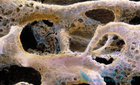 ���ٰ�����;���ٰ���ת��