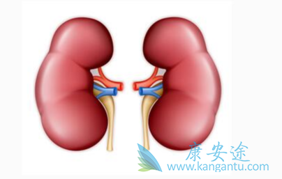肾癌转移;癌症 肾癌转移;癌症