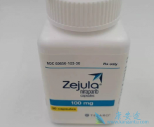 �������������Ͱ����������м���PARP���Ƽ����ڻ�Ծ״̬��