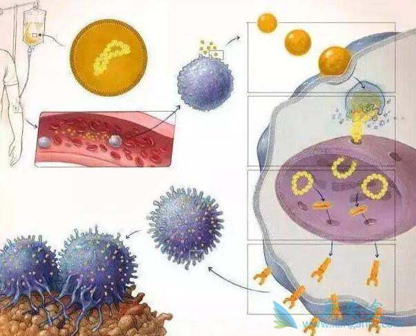 ϸ�����ӷ籩