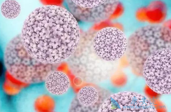 宫颈癌;宫颈癌治疗 宫颈癌;宫颈癌治疗