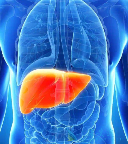 肝癌治疗;肝癌晚期怎么治疗 肝癌治疗;肝癌晚期怎么治疗