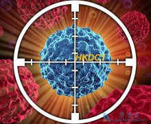 �������Ƶ�������ʲô �������Ƹ��ʺ�����ϸ��ϸ���ΰ�