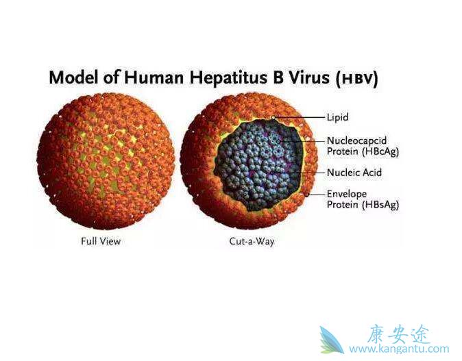 �Ҹκ��Ŀ���