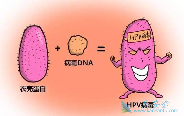 ������;������������