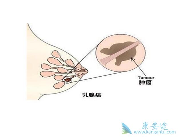 �������ٰ�