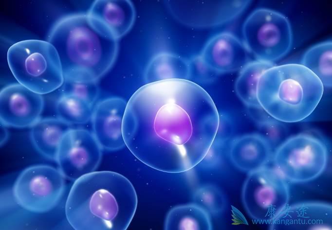 细胞因子风暴 细胞因子风暴