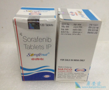 ��������/�༪���ӹ�ר�������ͳɷָ�ԭ��ҩ��һ�µ�