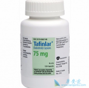 ��������(dabrafenib)������ΰ��п��������ԣ�