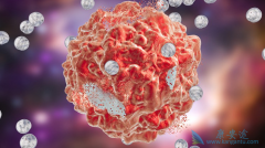 ʲô��������ʲô�ǰ�֢��������ʲô����