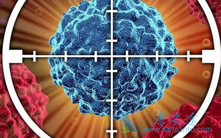 ����;��֢