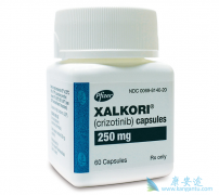 �ϼ����˿�������/Crizotinib��Ч���ͽ��ڵ�����޼�