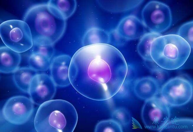 ϸ�����ӷ籩