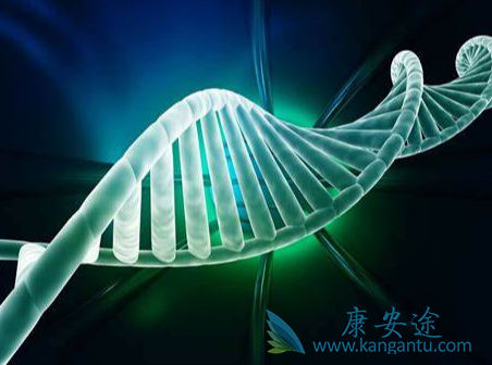 肿瘤;恶性肿瘤 肿瘤;恶性肿瘤