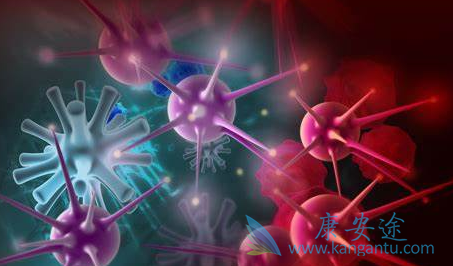 ����ת��;����