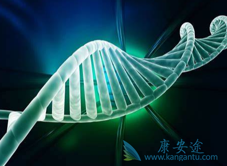 肿瘤;恶性肿瘤 肿瘤;恶性肿瘤