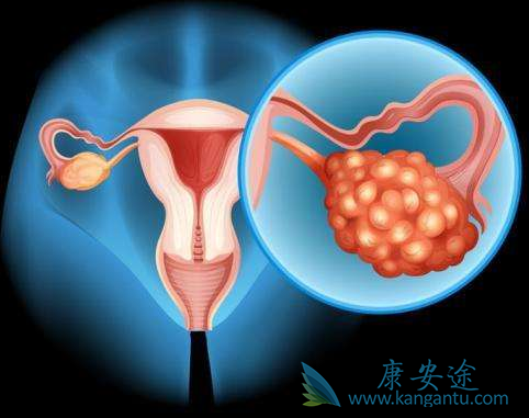 �ѳ���;�����ѳ���