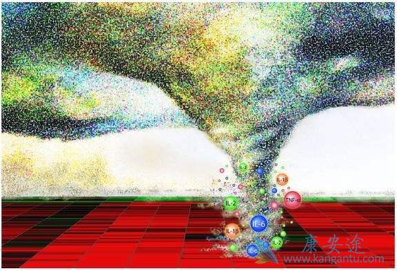 ϸ�����ӷ籩