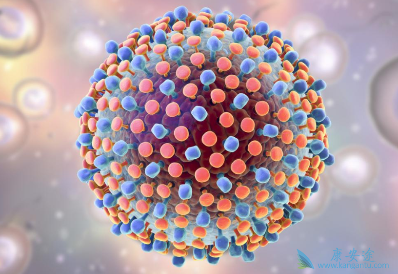 HCV;抗病毒治疗 HCV;抗病毒治疗