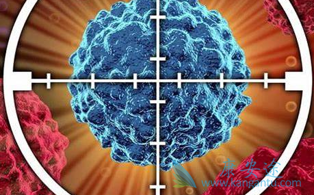 格列卫;尼洛替尼 格列卫;尼洛替尼