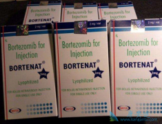 ��������(VELCADE)�Գ������ϸ���ܰ���Ч����Σ�