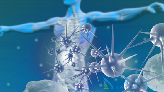 ������ת��;��������