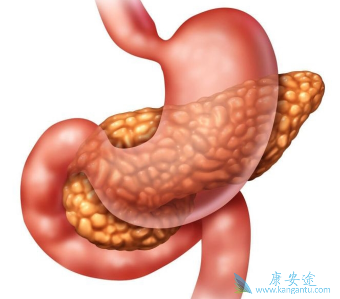 ���ٰ�;���ٰ�������