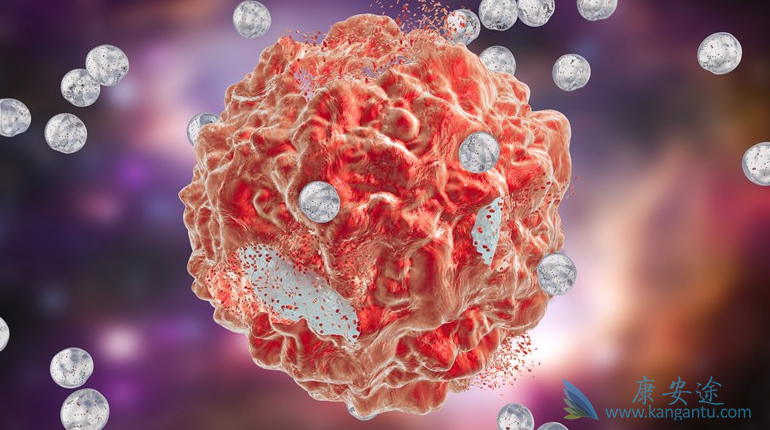 ����;��������