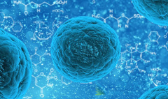 ���ڷ���ǰ���ٰ�������ǰ���ٰ�������