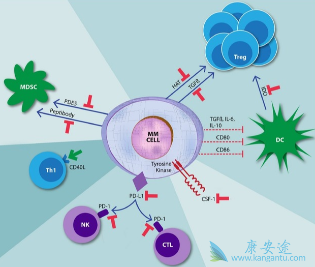 �෢�Թ�����;�������ܻ���