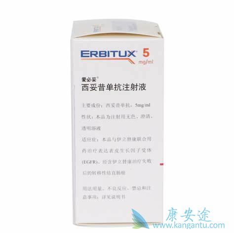 ������˵����