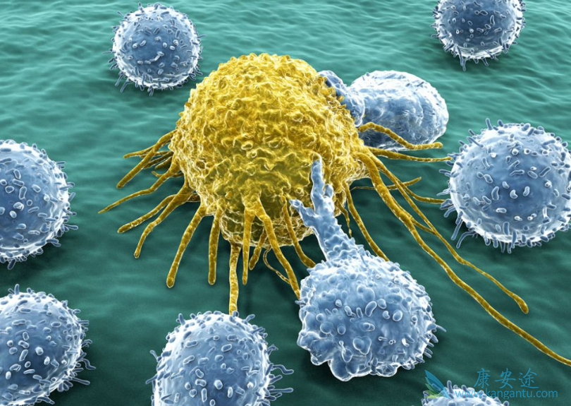 ǰ���ٰ�;��������