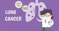 �ΰ�EGFRҩ������Щ����Сϸ���ΰ�����ռ�ȶ���