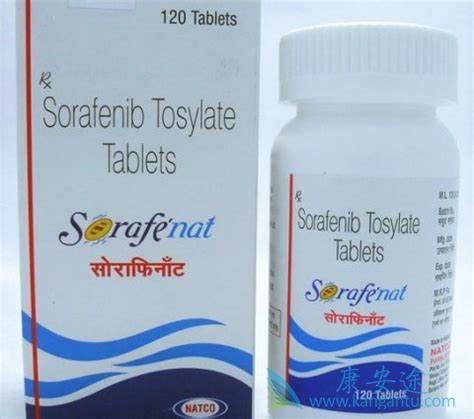 ��������Ƭ