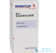 ������(erbitux)��ʳ�ܰ������еĽ�չ