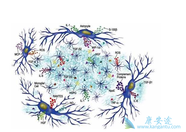 ϸ�����ӷ籩��ʲô
