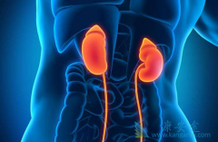 ����ת�Ƶ�֢״���ֺ�������