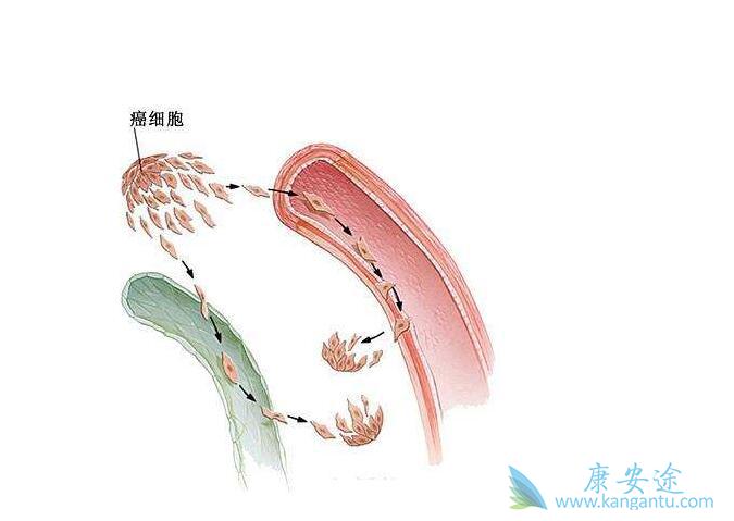 ����ת��